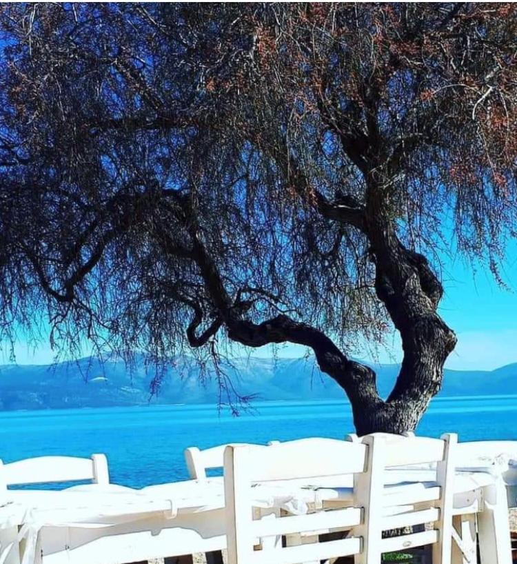 Villa Eratous Seaside House à Agii Dimitrios ke Panteleimon Extérieur photo